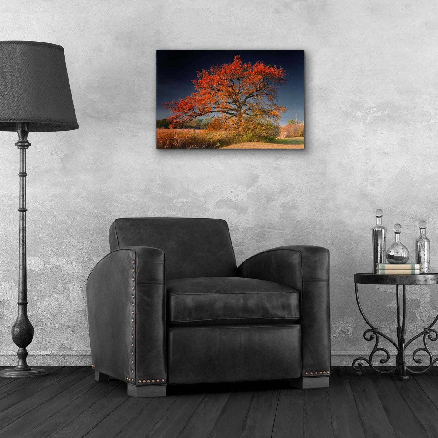 Epic Art 'Melancholy Tree' by Philippe Sainte-Laudy, Acrylic Glass Wall Art,24x16