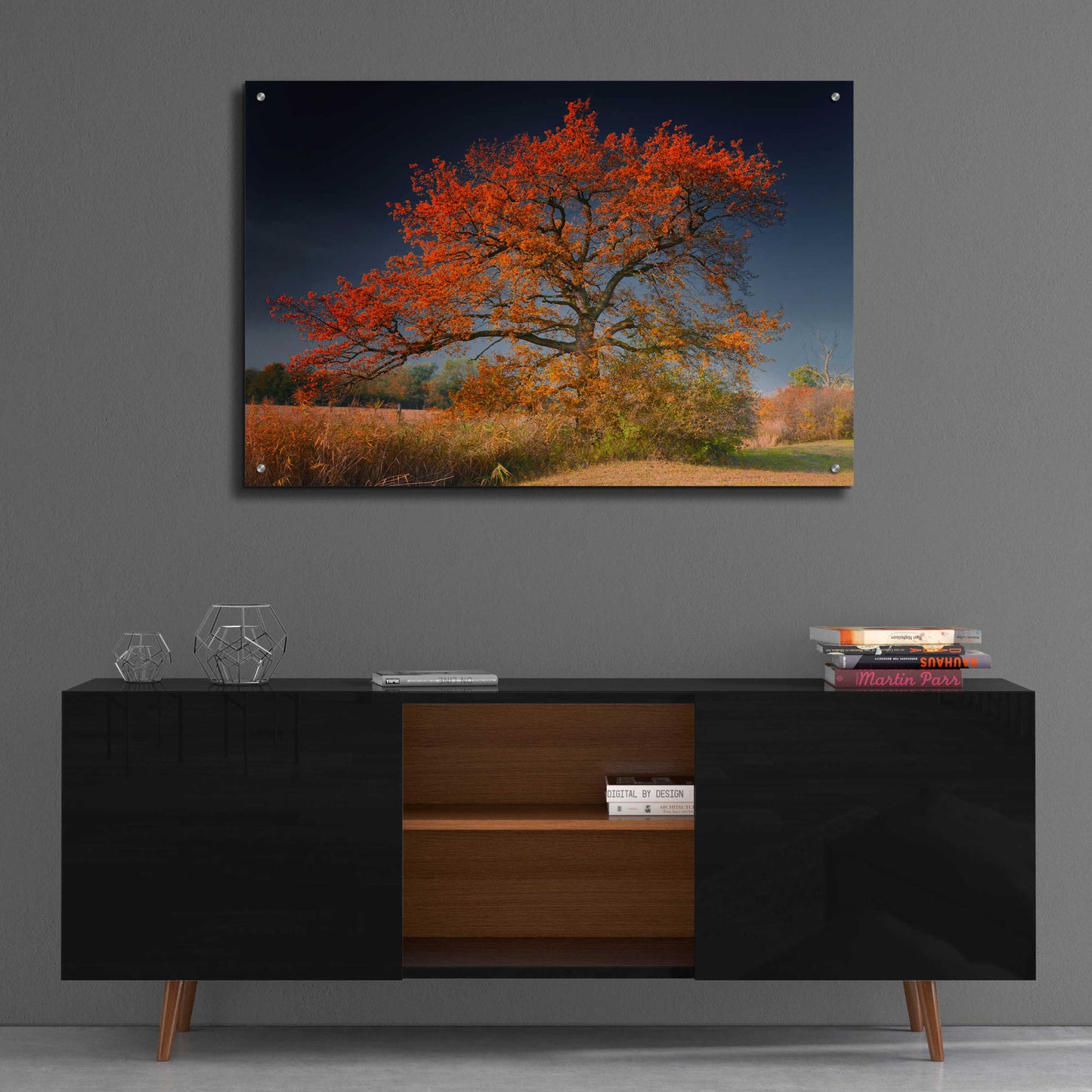 Epic Art 'Melancholy Tree' by Philippe Sainte-Laudy, Acrylic Glass Wall Art,36x24