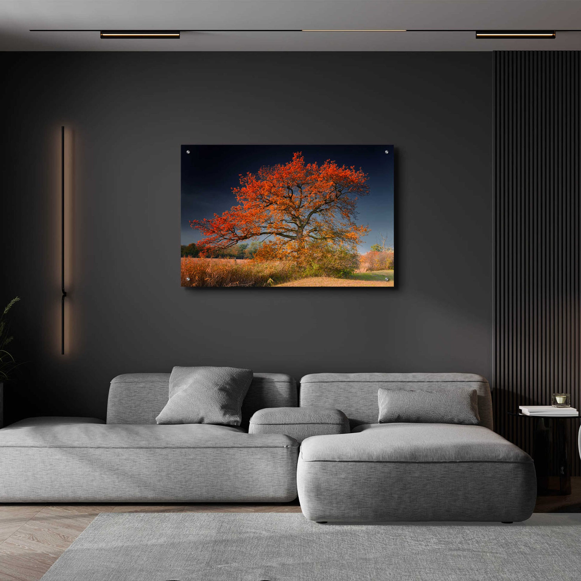 Epic Art 'Melancholy Tree' by Philippe Sainte-Laudy, Acrylic Glass Wall Art,36x24