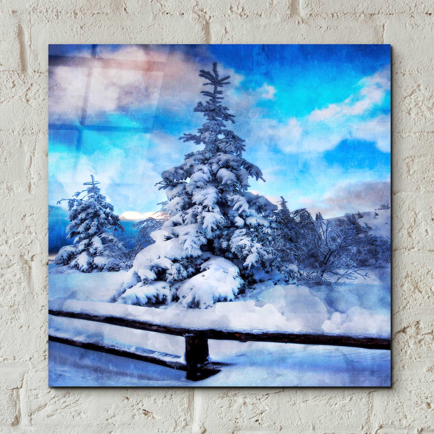 Epic Art 'My Beautiful Fir Tree' by Philippe Sainte-Laudy, Acrylic Glass Wall Art,12x12