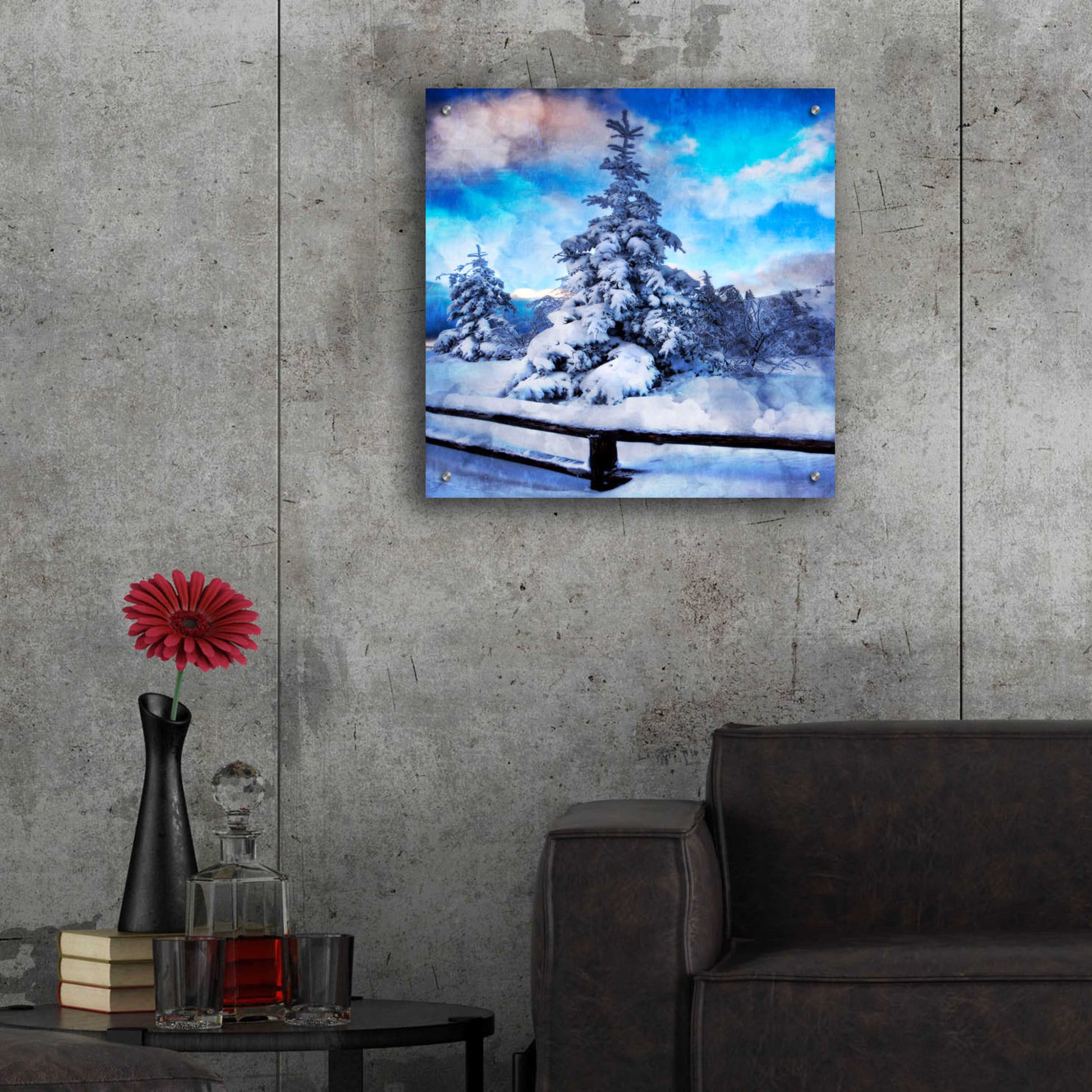 Epic Art 'My Beautiful Fir Tree' by Philippe Sainte-Laudy, Acrylic Glass Wall Art,24x24