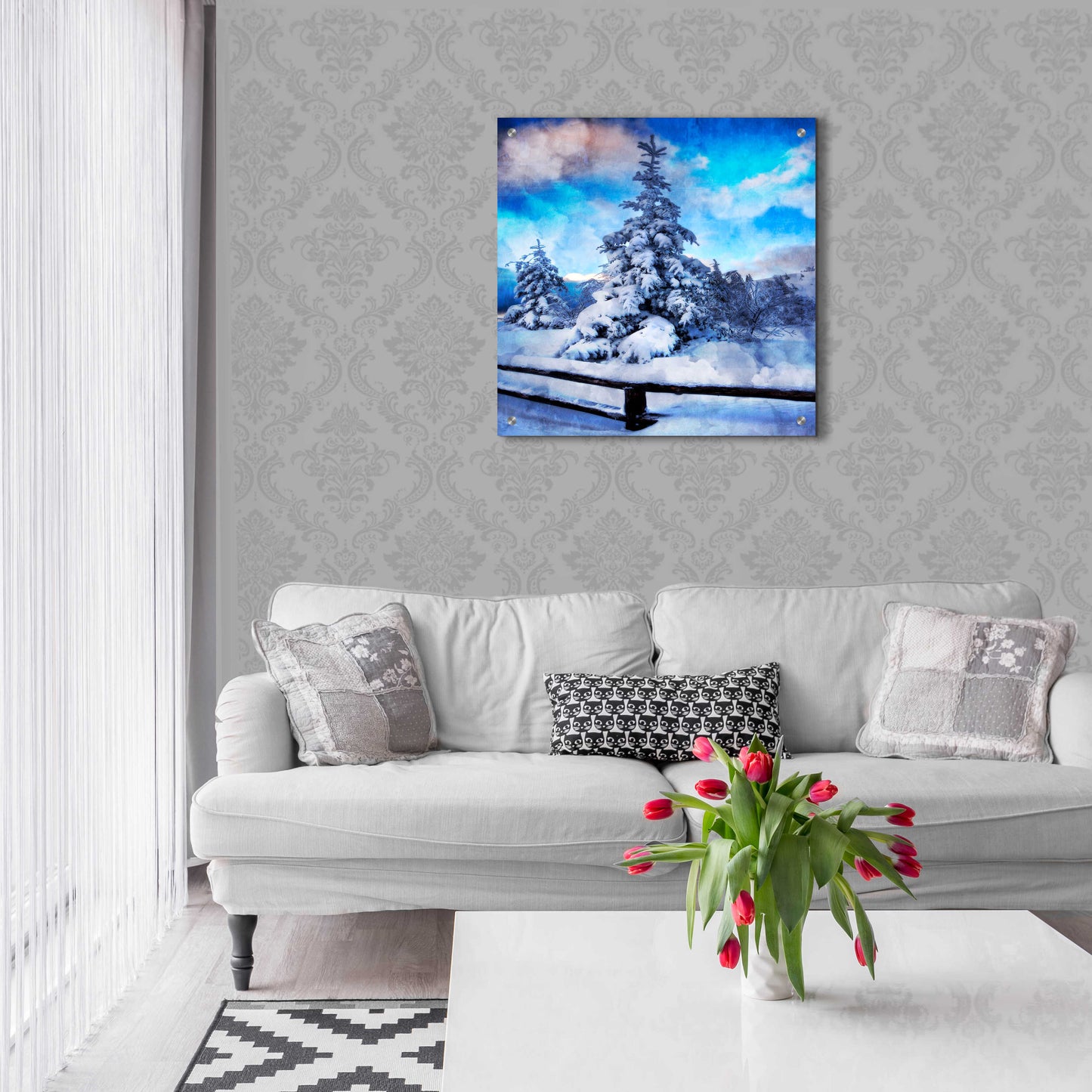 Epic Art 'My Beautiful Fir Tree' by Philippe Sainte-Laudy, Acrylic Glass Wall Art,24x24