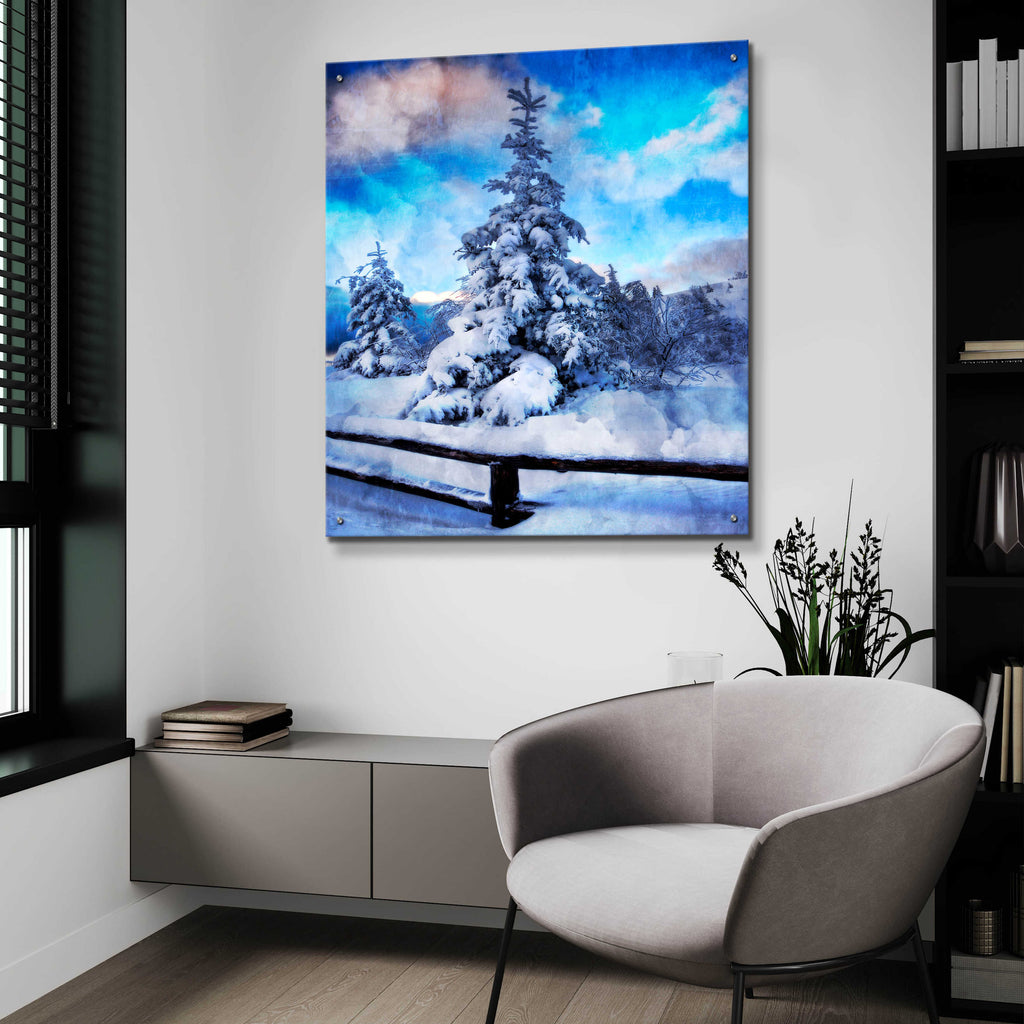 Epic Art 'My Beautiful Fir Tree' by Philippe Sainte-Laudy, Acrylic Glass Wall Art,36x36