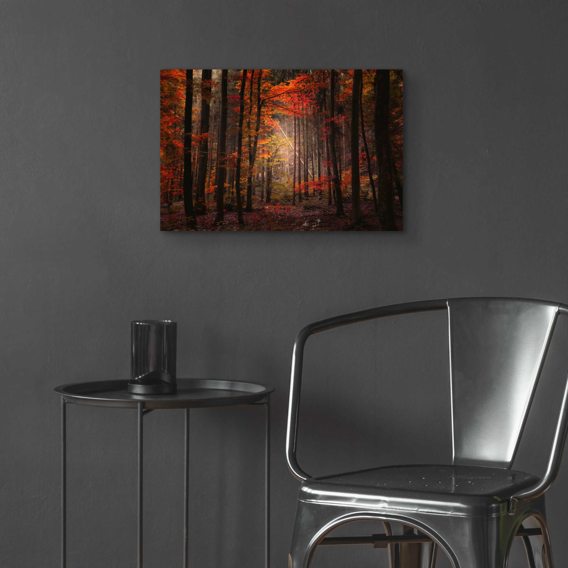 Epic Art 'Orton Wood' by Philippe Sainte-Laudy, Acrylic Glass Wall Art,24x16