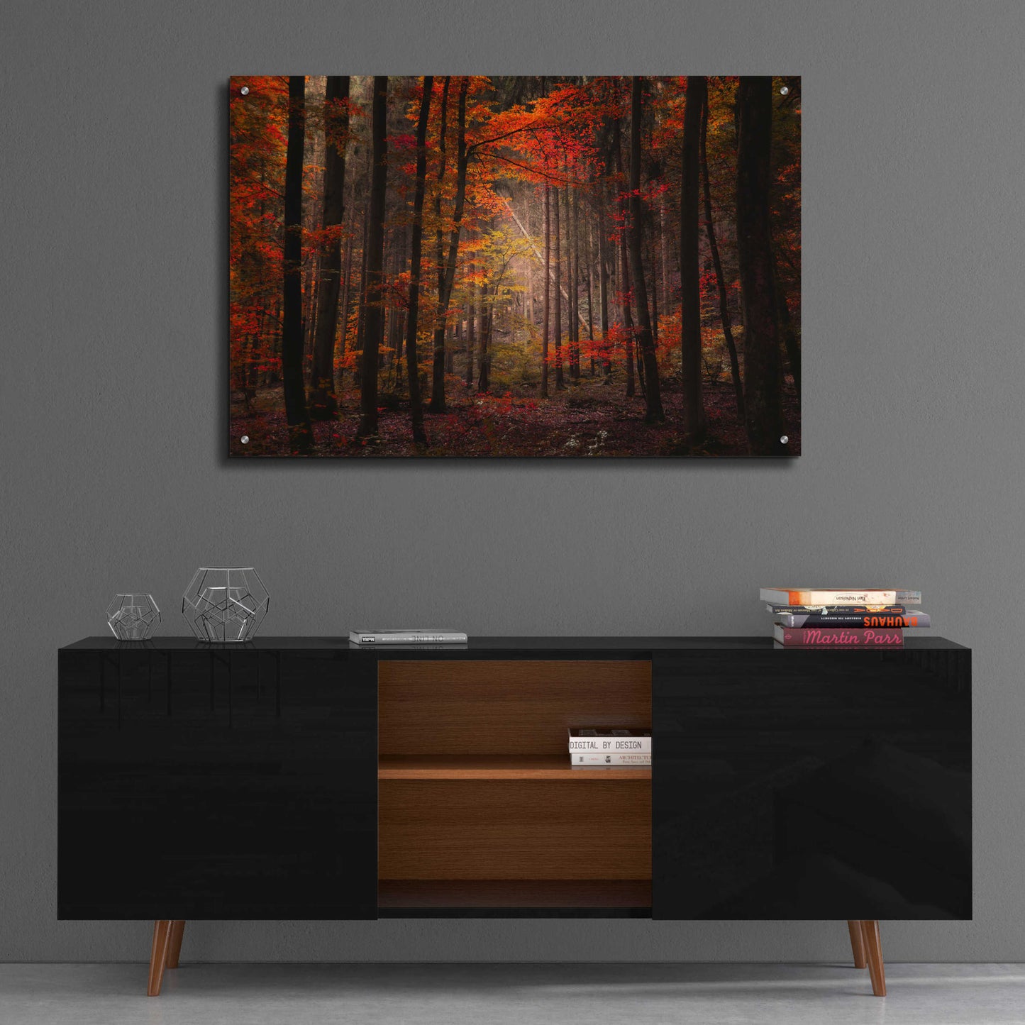 Epic Art 'Orton Wood' by Philippe Sainte-Laudy, Acrylic Glass Wall Art,36x24