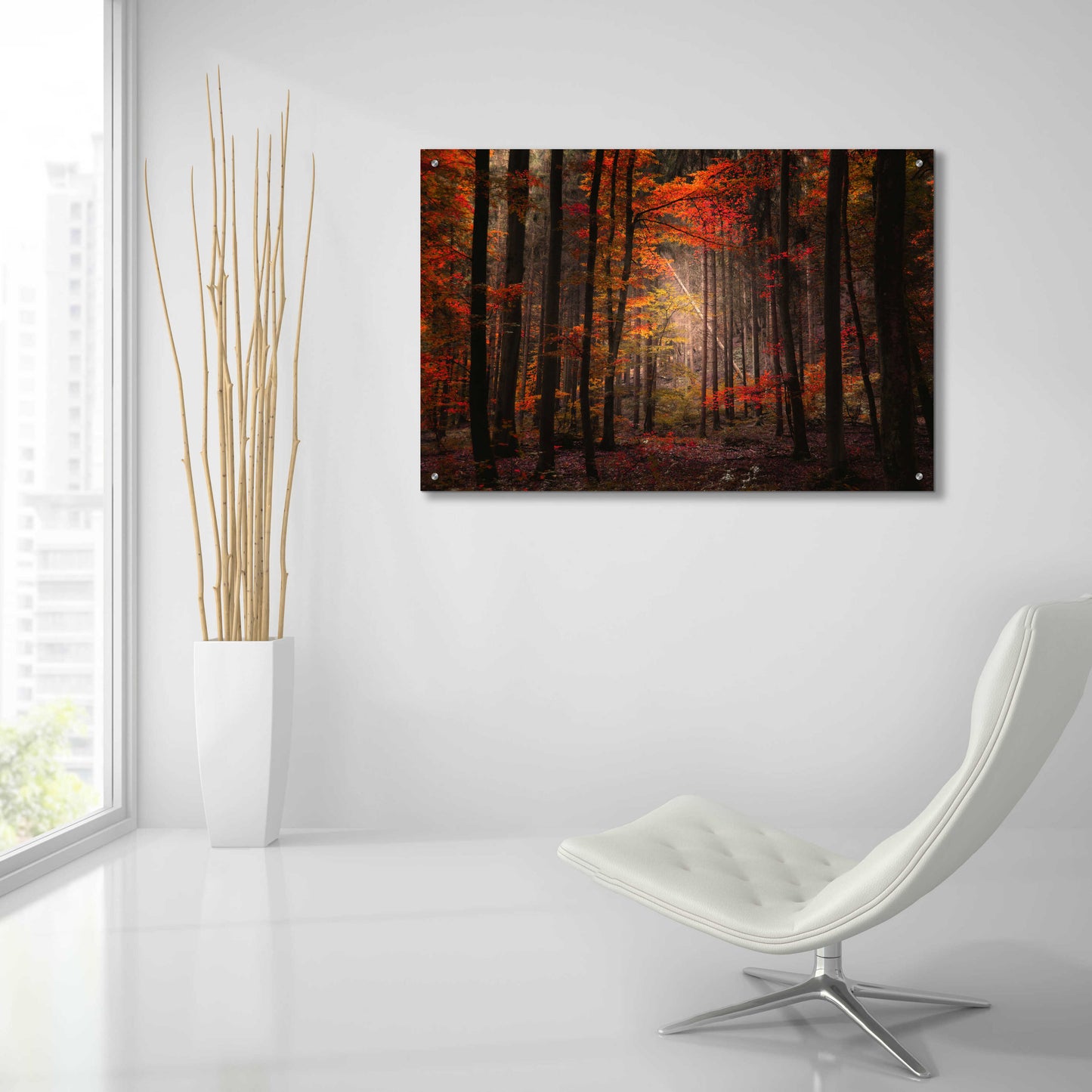 Epic Art 'Orton Wood' by Philippe Sainte-Laudy, Acrylic Glass Wall Art,36x24