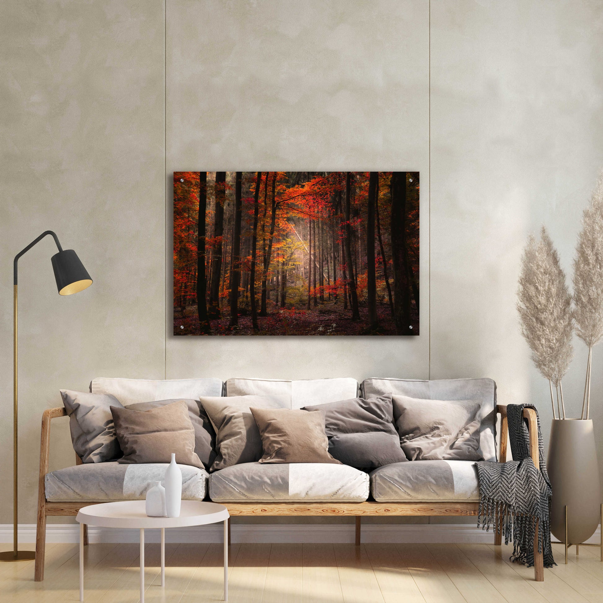 Epic Art 'Orton Wood' by Philippe Sainte-Laudy, Acrylic Glass Wall Art,36x24