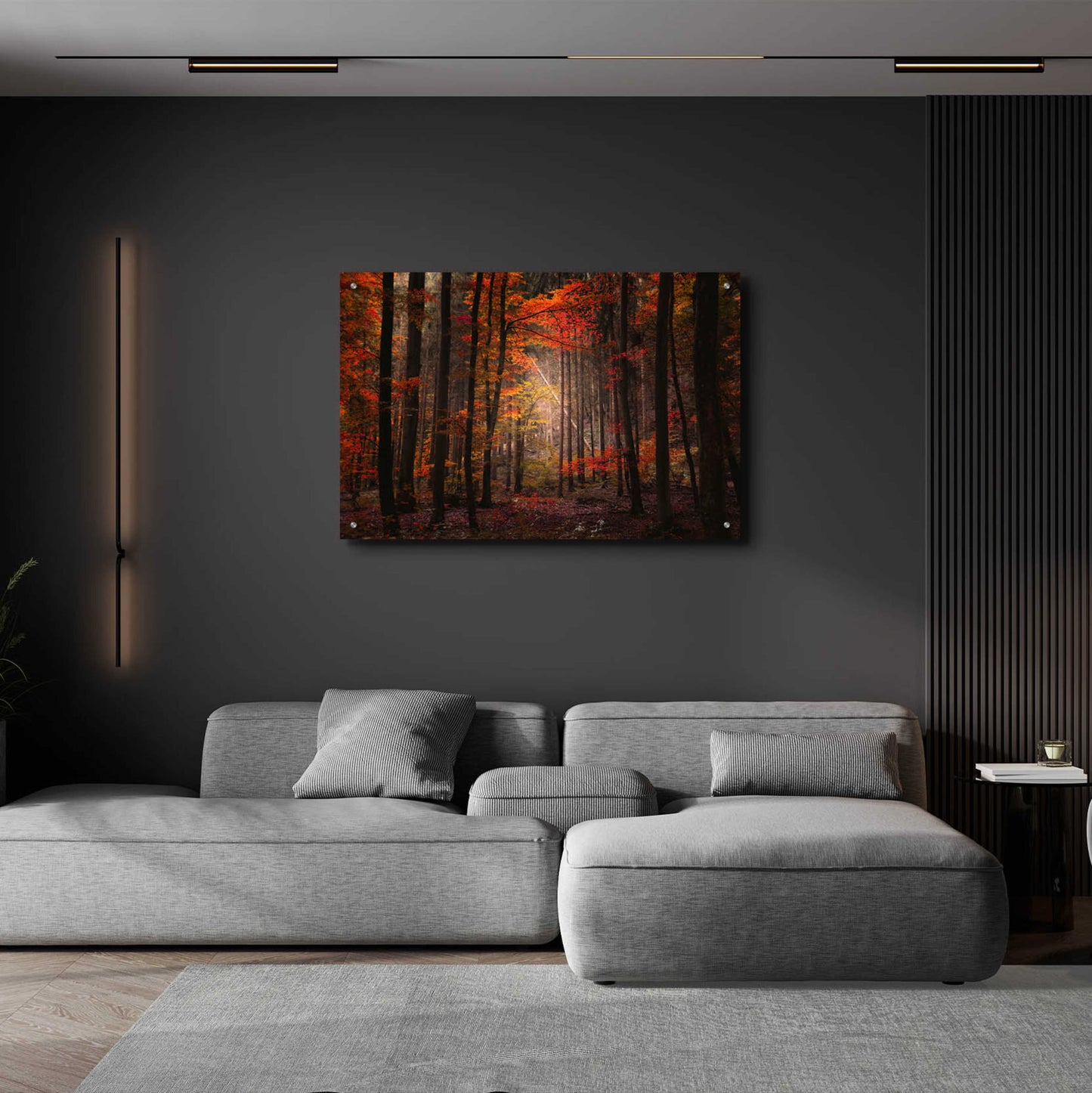 Epic Art 'Orton Wood' by Philippe Sainte-Laudy, Acrylic Glass Wall Art,36x24