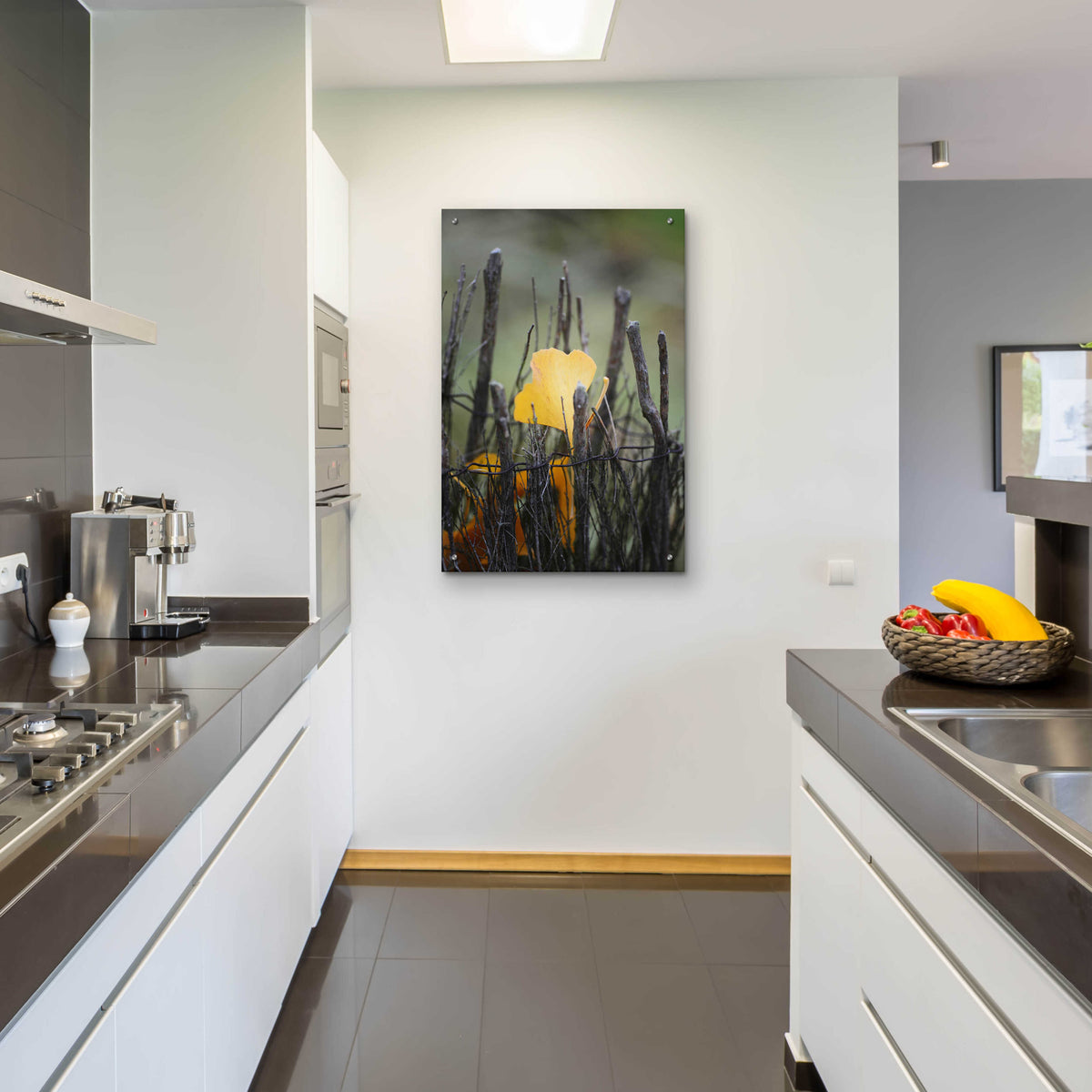 Epic Art 'Prisoner Fall' by Philippe Sainte-Laudy, Acrylic Glass Wall Art,24x36