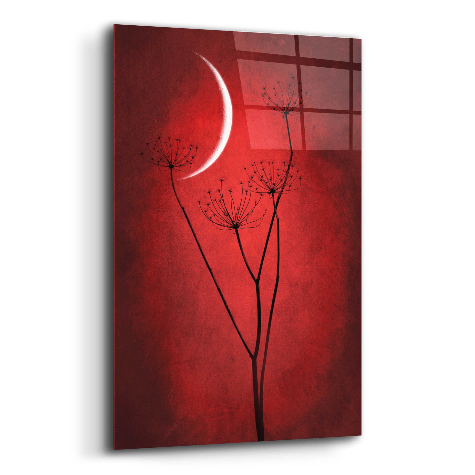 Epic Art 'Red Crescent Moon' by Philippe Sainte-Laudy, Acrylic Glass Wall Art,12x16