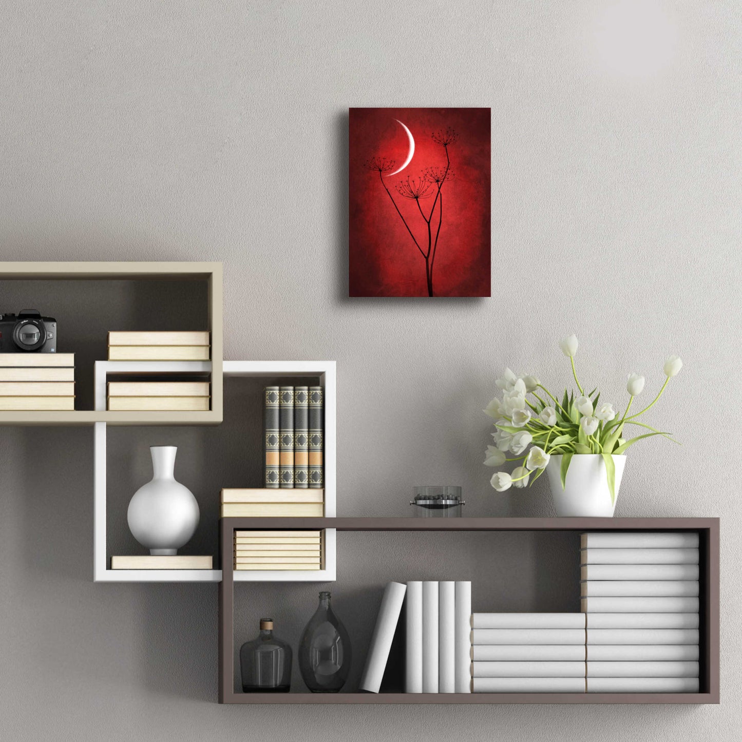 Epic Art 'Red Crescent Moon' by Philippe Sainte-Laudy, Acrylic Glass Wall Art,12x16