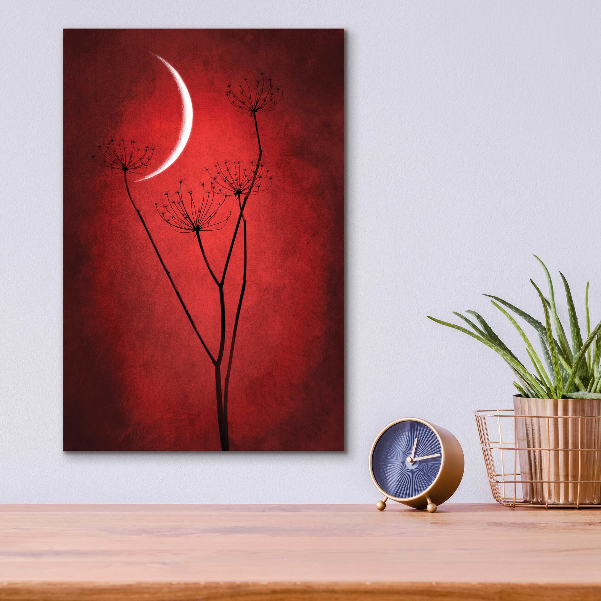 Epic Art 'Red Crescent Moon' by Philippe Sainte-Laudy, Acrylic Glass Wall Art,12x16