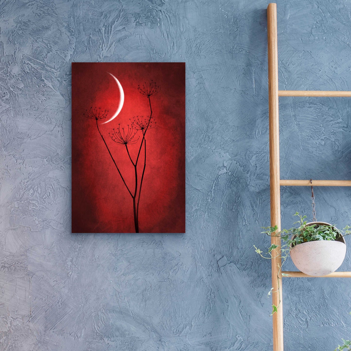 Epic Art 'Red Crescent Moon' by Philippe Sainte-Laudy, Acrylic Glass Wall Art,16x24