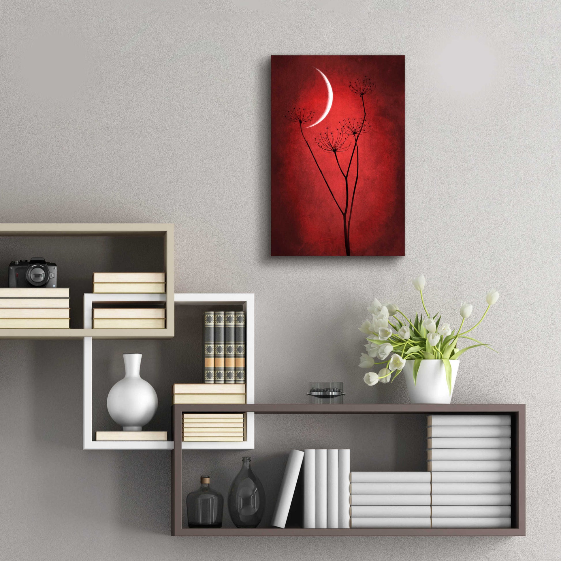 Epic Art 'Red Crescent Moon' by Philippe Sainte-Laudy, Acrylic Glass Wall Art,16x24