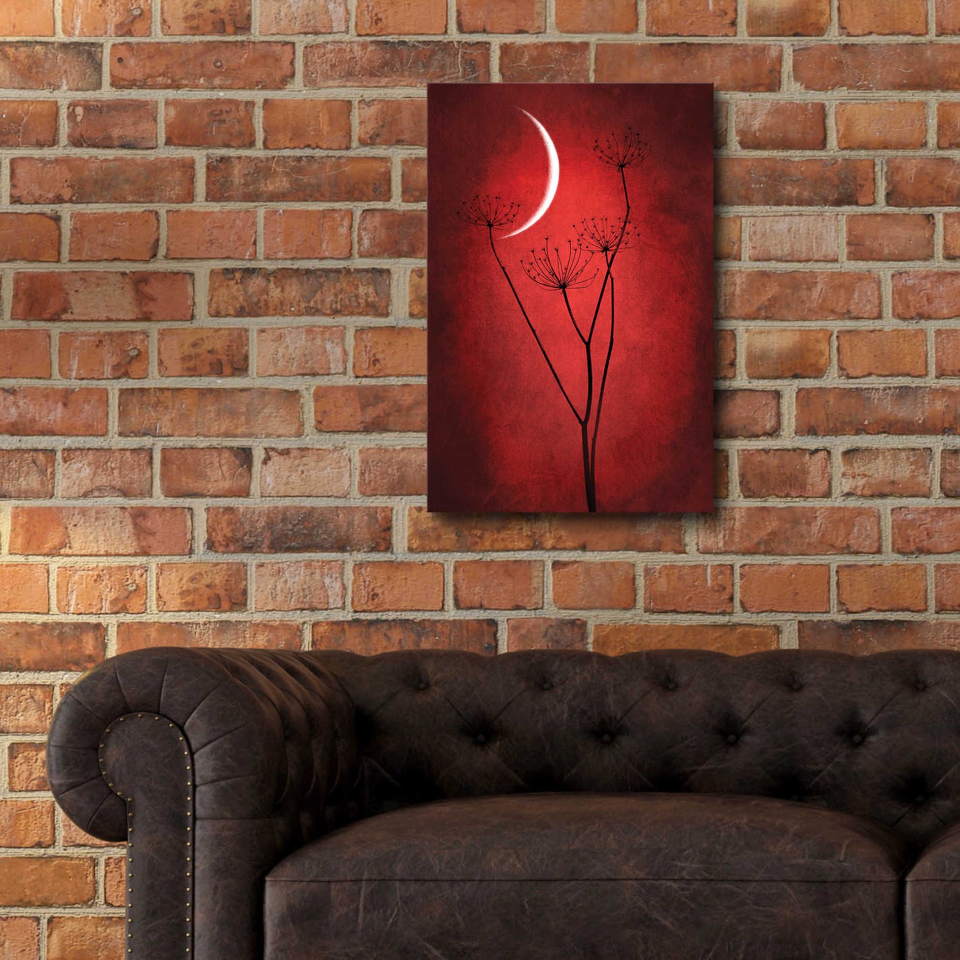 Epic Art 'Red Crescent Moon' by Philippe Sainte-Laudy, Acrylic Glass Wall Art,16x24