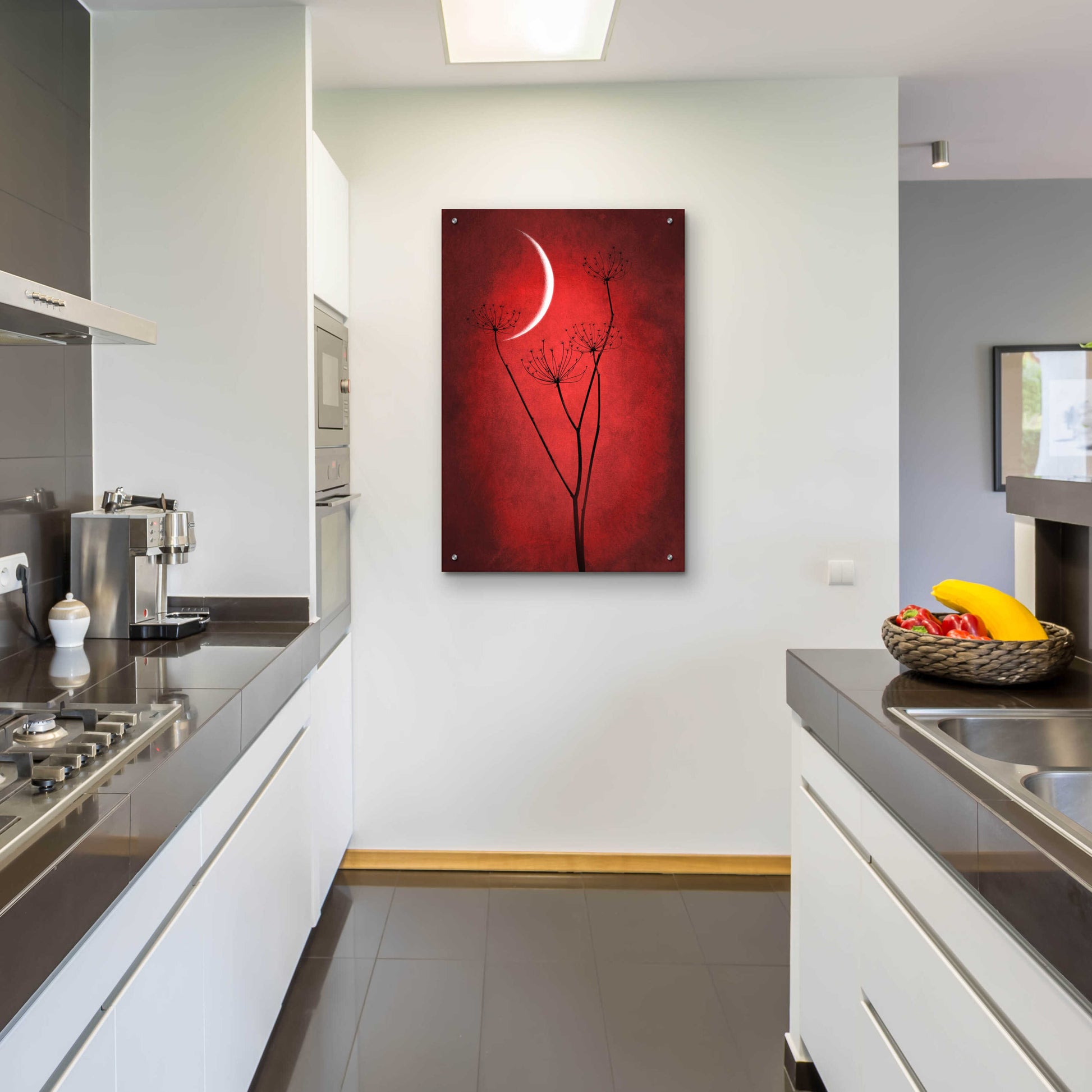 Epic Art 'Red Crescent Moon' by Philippe Sainte-Laudy, Acrylic Glass Wall Art,24x36