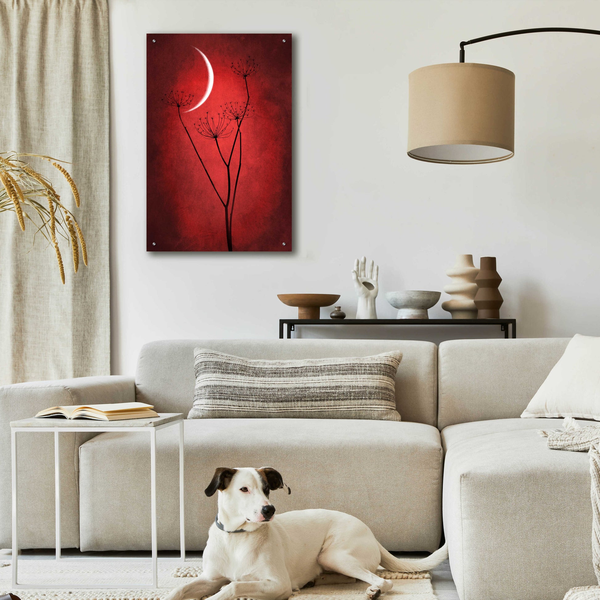 Epic Art 'Red Crescent Moon' by Philippe Sainte-Laudy, Acrylic Glass Wall Art,24x36