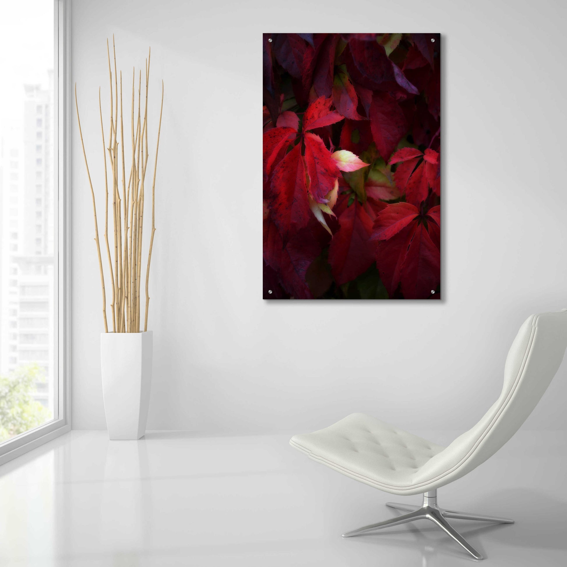 Epic Art 'Red Velvet' by Philippe Sainte-Laudy, Acrylic Glass Wall Art,24x36