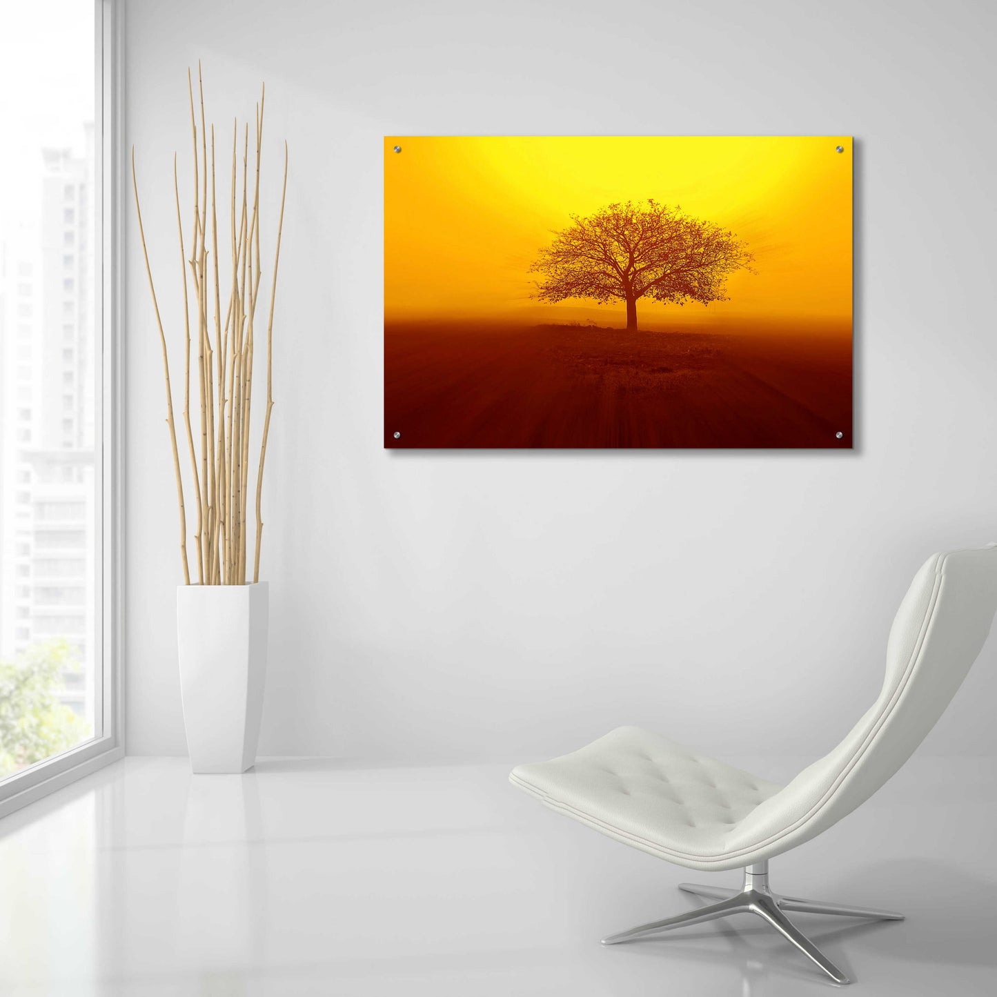 Epic Art 'So lonely' by Philippe Sainte-Laudy, Acrylic Glass Wall Art,36x24