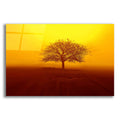 Epic Art 'So lonely' by Philippe Sainte-Laudy, Acrylic Glass Wall Art
