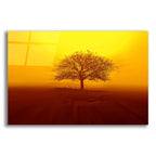 Epic Art 'So lonely' by Philippe Sainte-Laudy, Acrylic Glass Wall Art