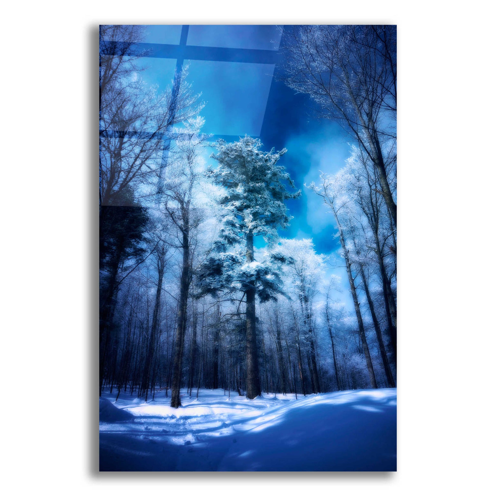 Epic Art 'The Blue Hours' by Philippe Sainte-Laudy, Acrylic Glass Wall Art