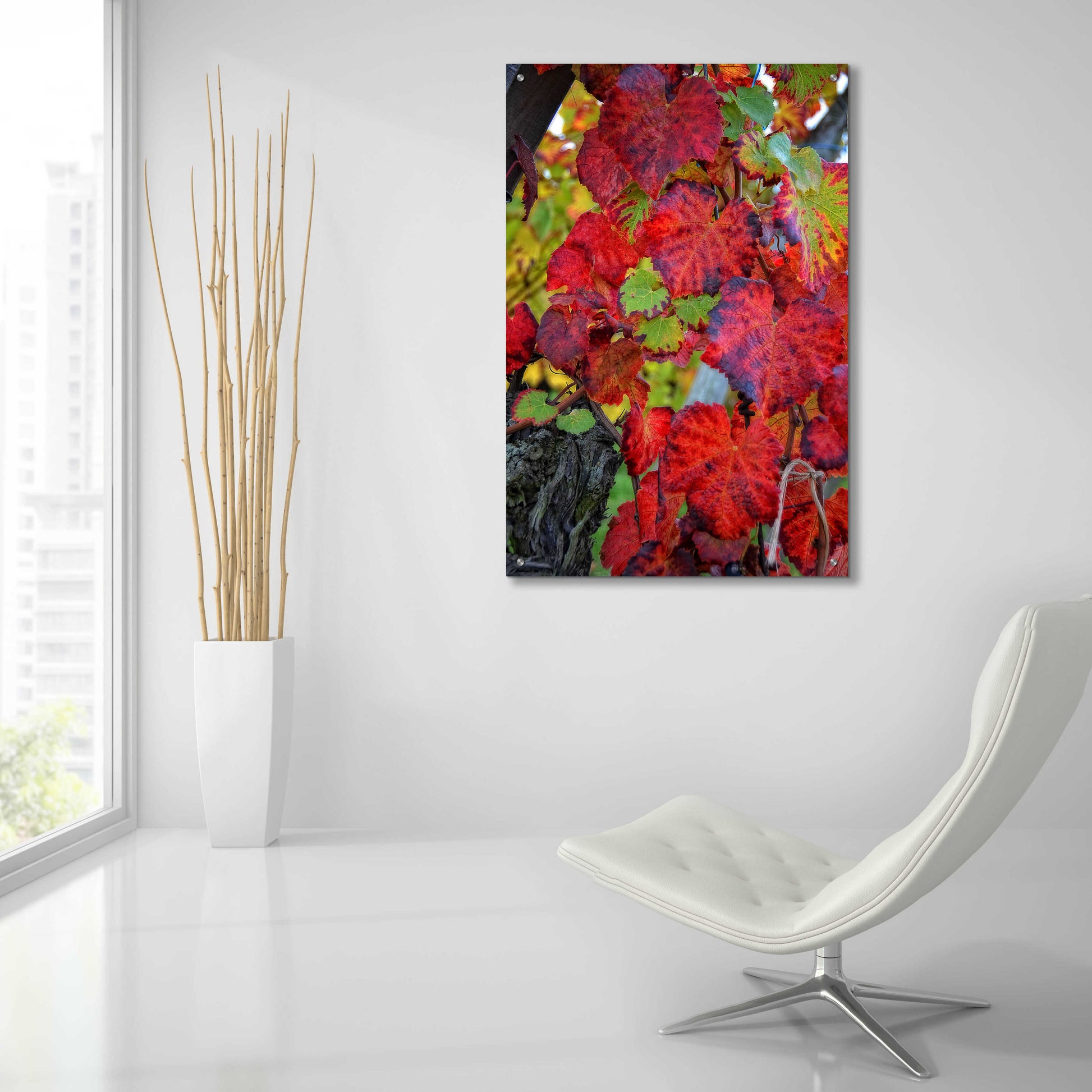 Epic Art 'Velvet Leaves' by Philippe Sainte-Laudy, Acrylic Glass Wall Art,24x36