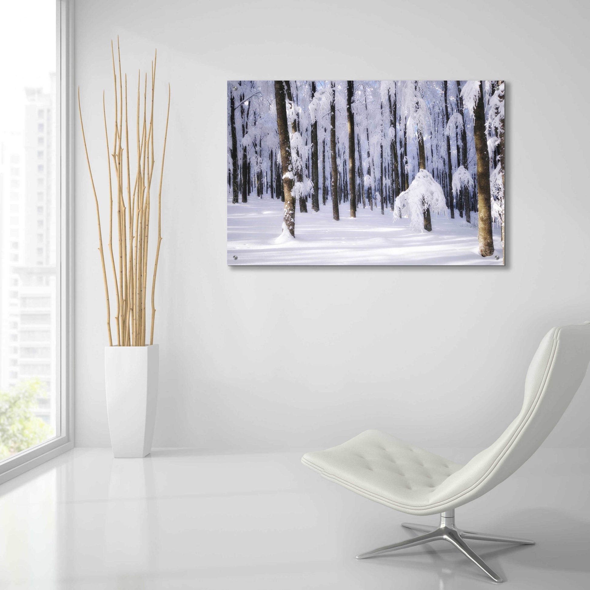 Epic Art 'White Muslin' by Philippe Sainte-Laudy, Acrylic Glass Wall Art,36x24