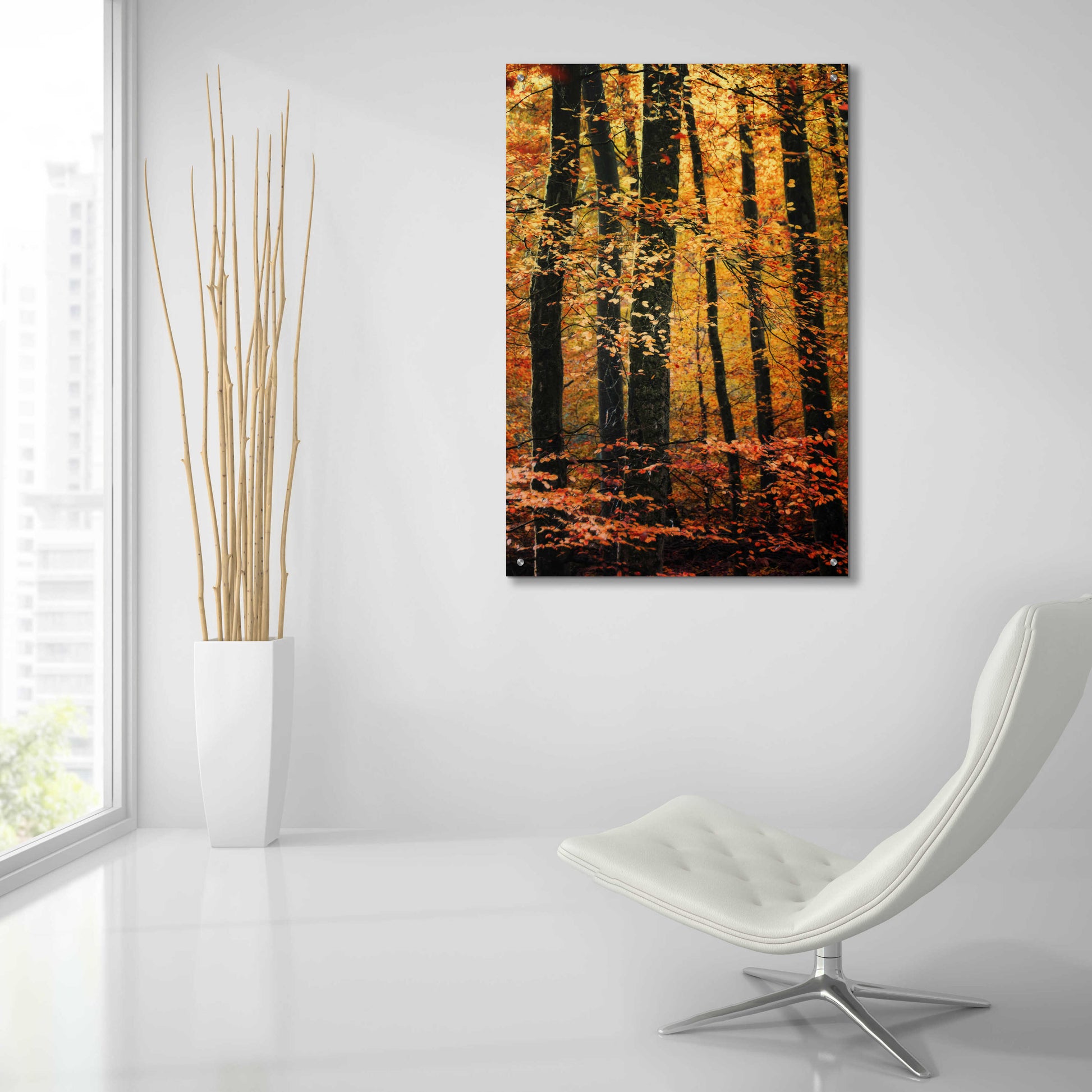 Epic Art 'Wind in the Trees' by Philippe Sainte-Laudy, Acrylic Glass Wall Art,24x36