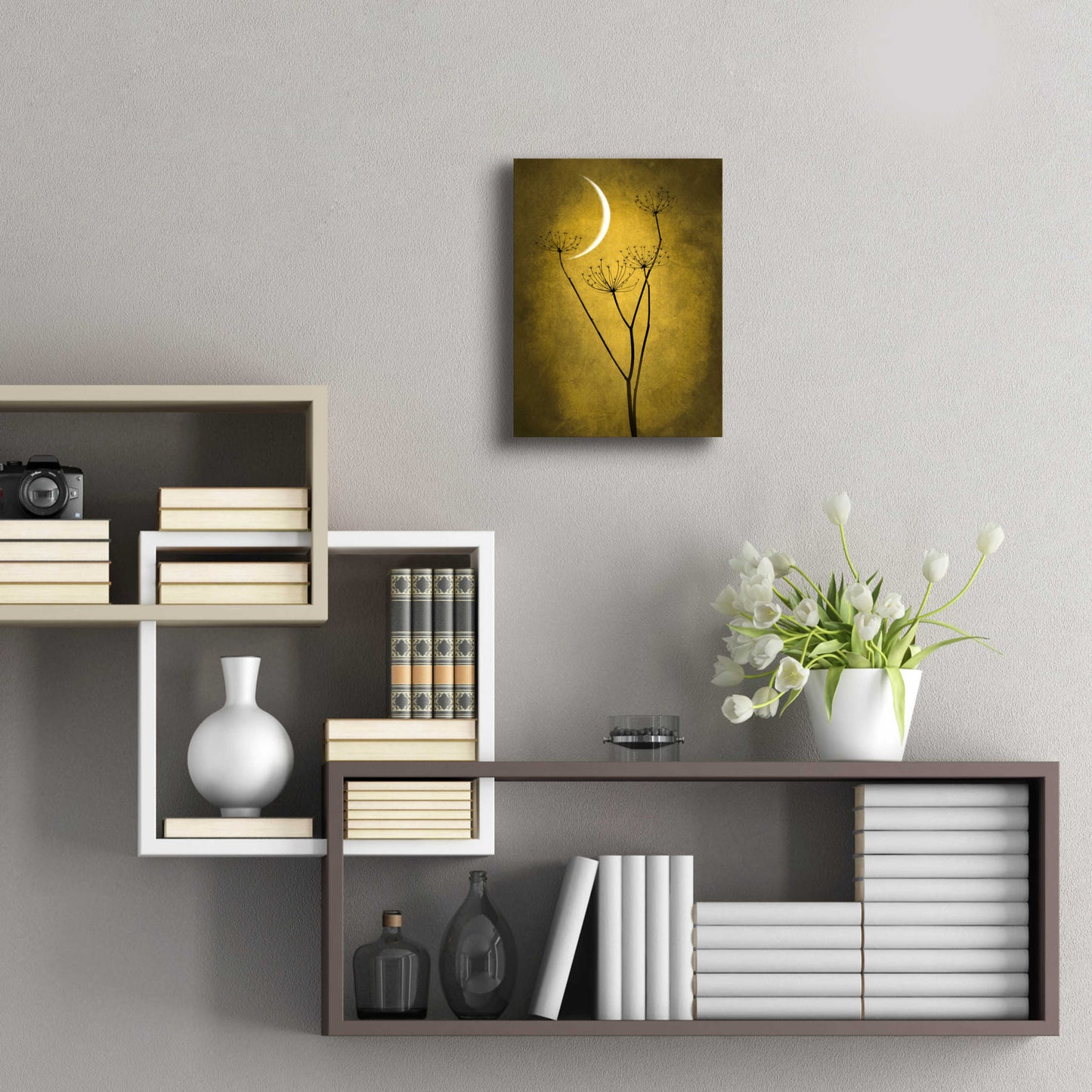 Epic Art 'Yellow Crescent Moon' by Philippe Sainte-Laudy, Acrylic Glass Wall Art,12x16