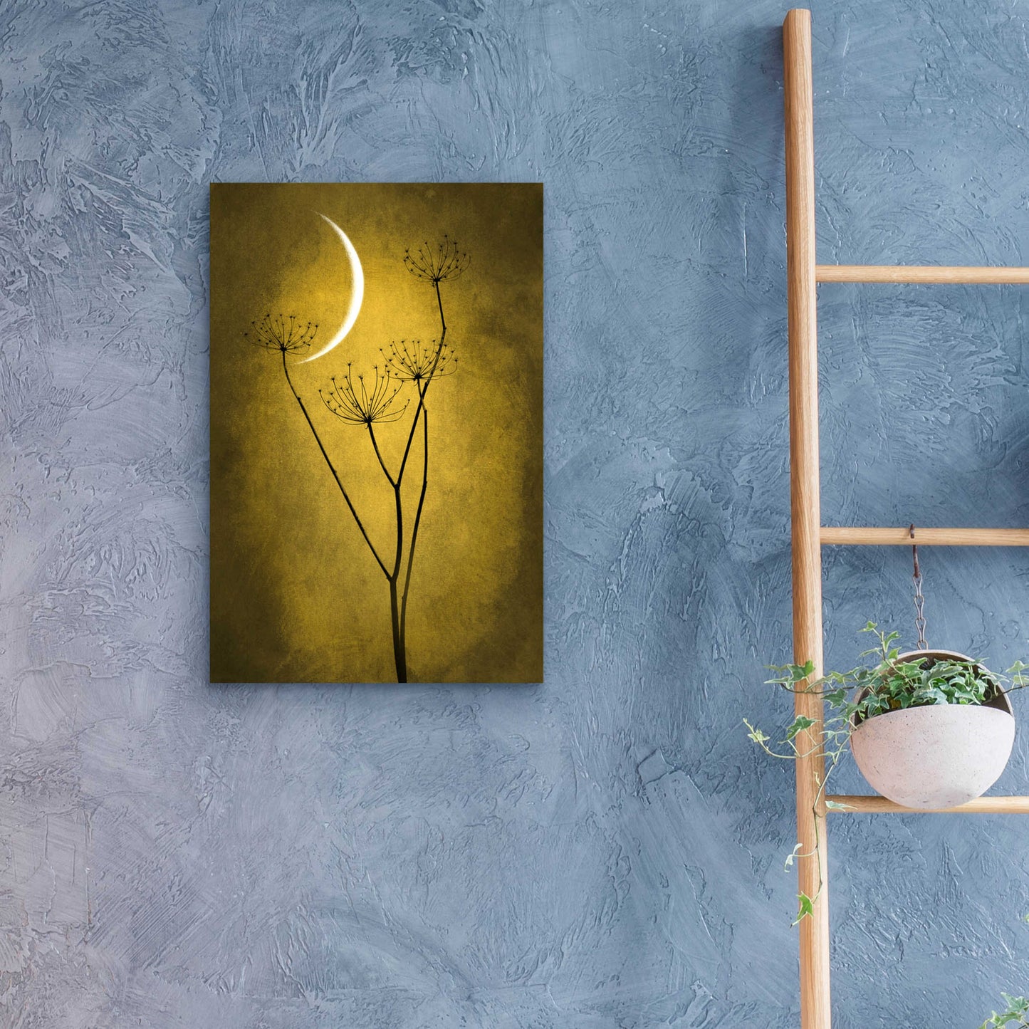 Epic Art 'Yellow Crescent Moon' by Philippe Sainte-Laudy, Acrylic Glass Wall Art,16x24