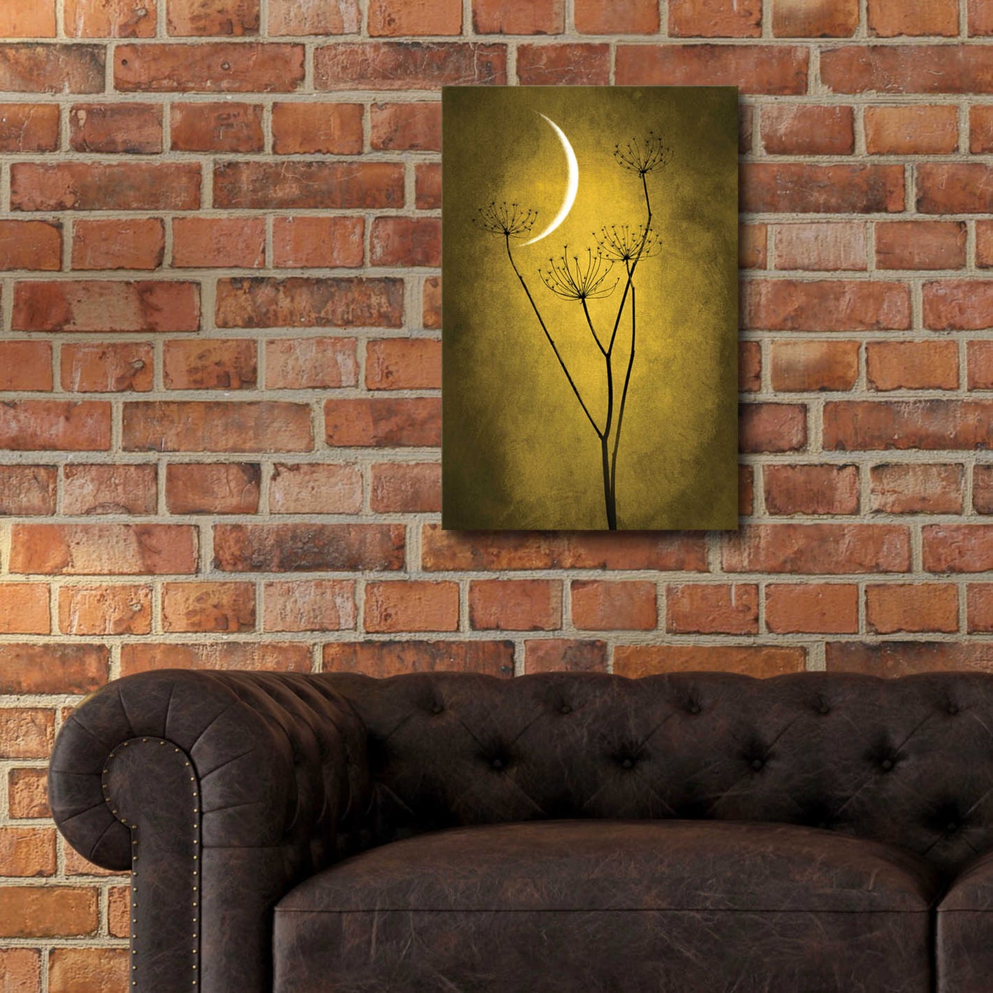 Epic Art 'Yellow Crescent Moon' by Philippe Sainte-Laudy, Acrylic Glass Wall Art,16x24