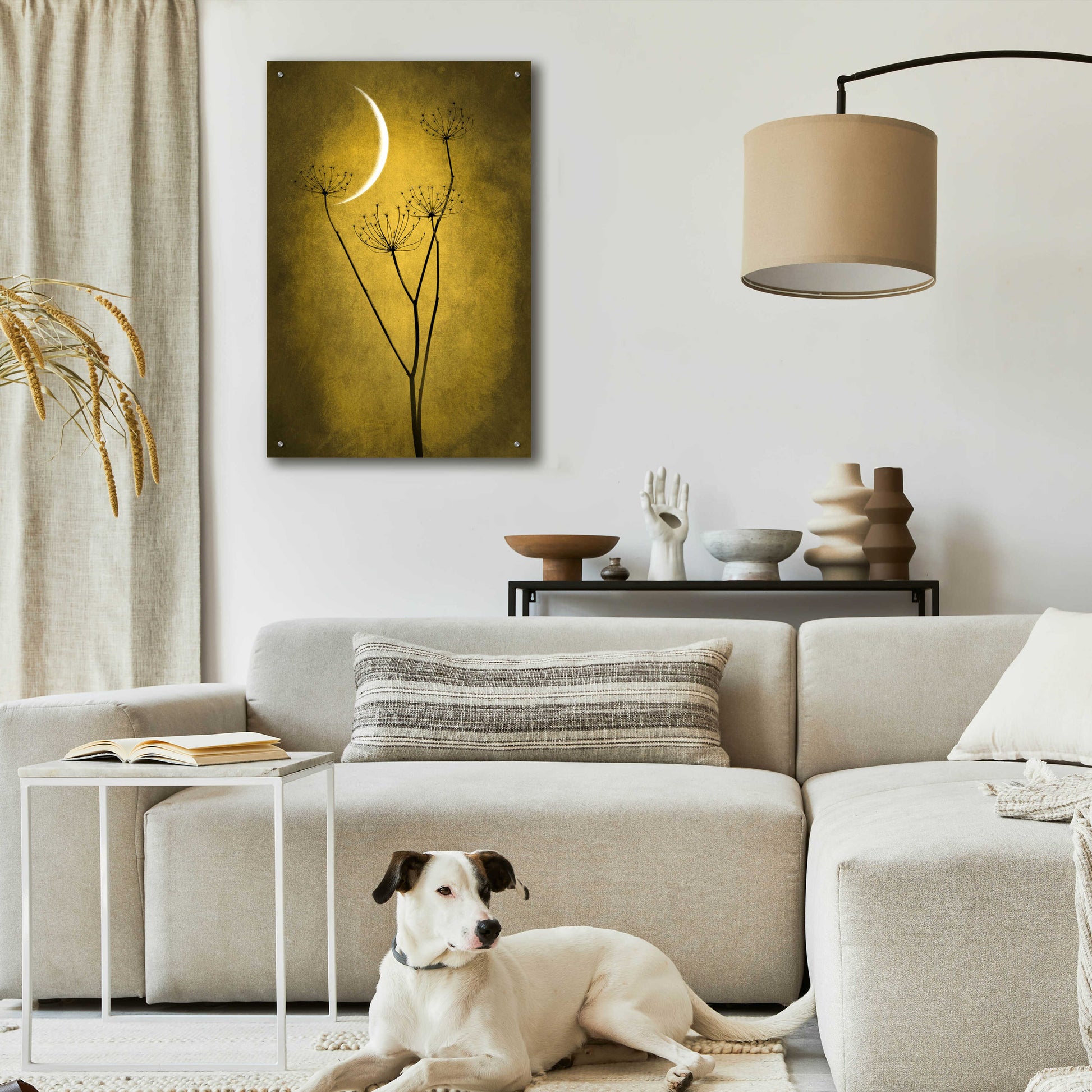 Epic Art 'Yellow Crescent Moon' by Philippe Sainte-Laudy, Acrylic Glass Wall Art,24x36