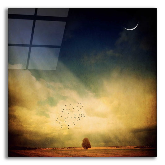 Epic Art 'Echo Of A Sigh' by Philippe Sainte-Laudy, Acrylic Glass Wall Art