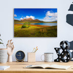 Epic Art 'Light Trees' by Philippe Sainte-Laudy, Acrylic Glass Wall Art,16x12