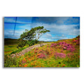 Epic Art 'Time Won't Wait' by Philippe Sainte-Laudy, Acrylic Glass Wall Art