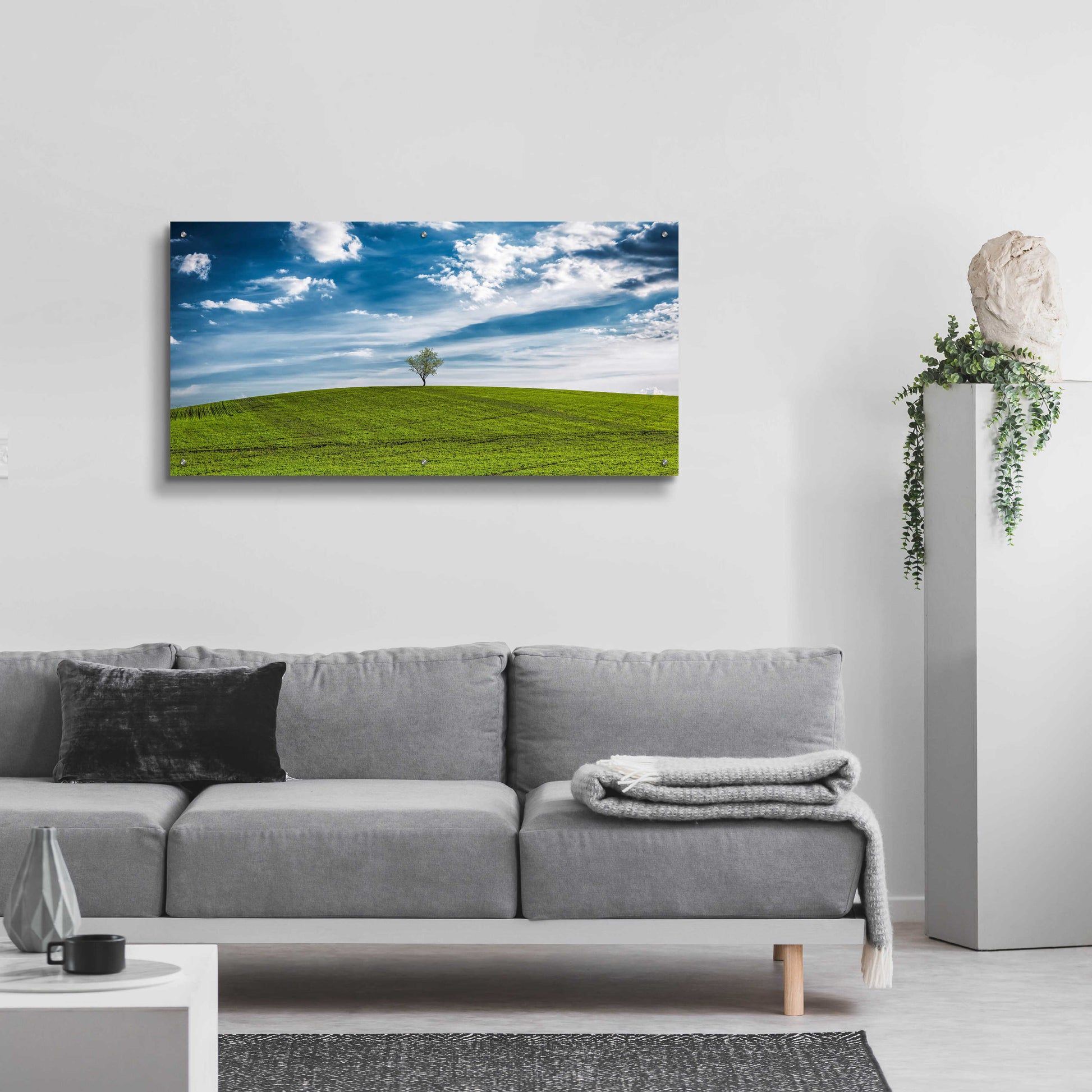 Epic Art 'The One' by Giuseppe Torre, Acrylic Glass Wall Art,48x24