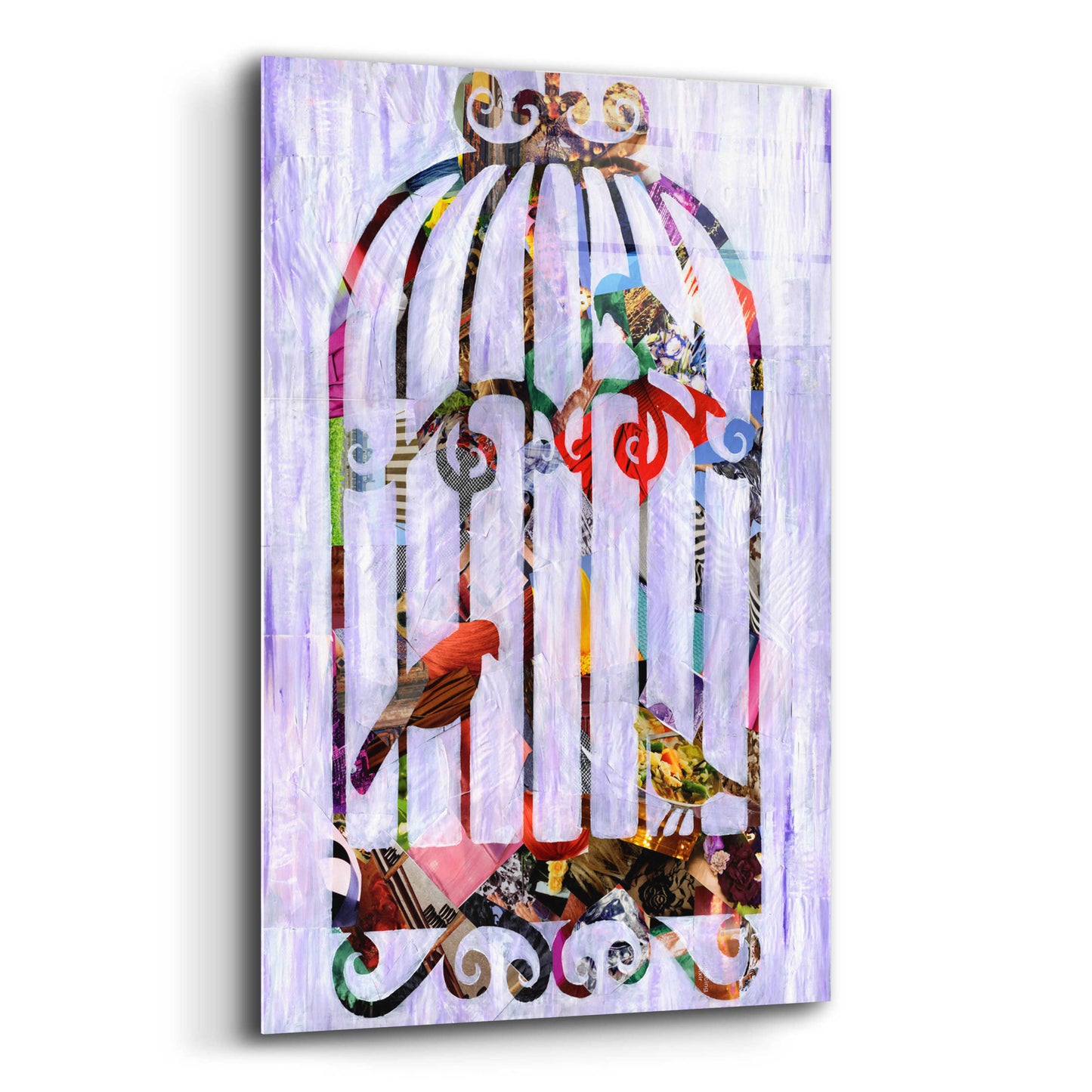 Epic Art 'Bird Cage' by Artpoptart, Acrylic Glass Wall Art,12x16