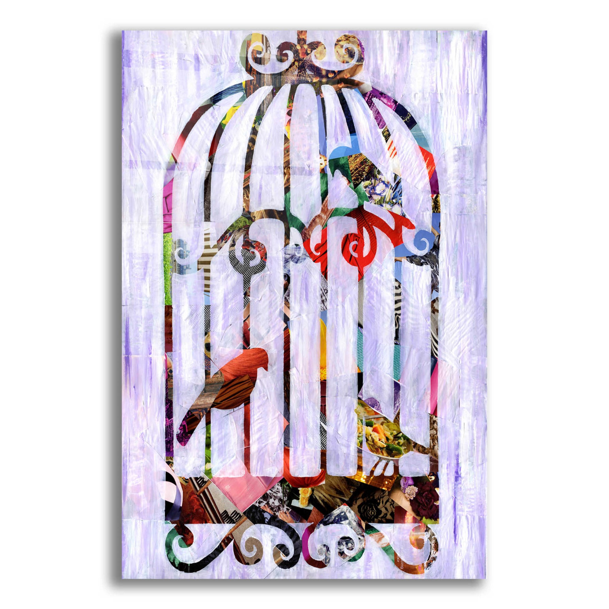 Epic Art 'Bird Cage' by Artpoptart, Acrylic Glass Wall Art,12x16