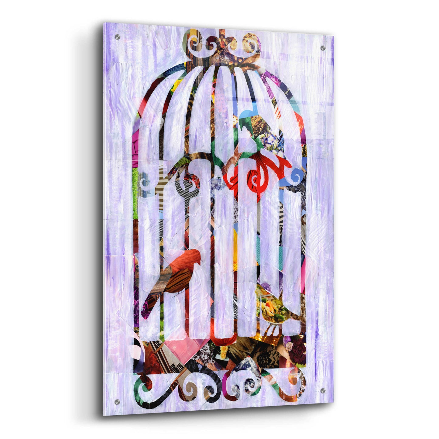 Epic Art 'Bird Cage' by Artpoptart, Acrylic Glass Wall Art,24x36