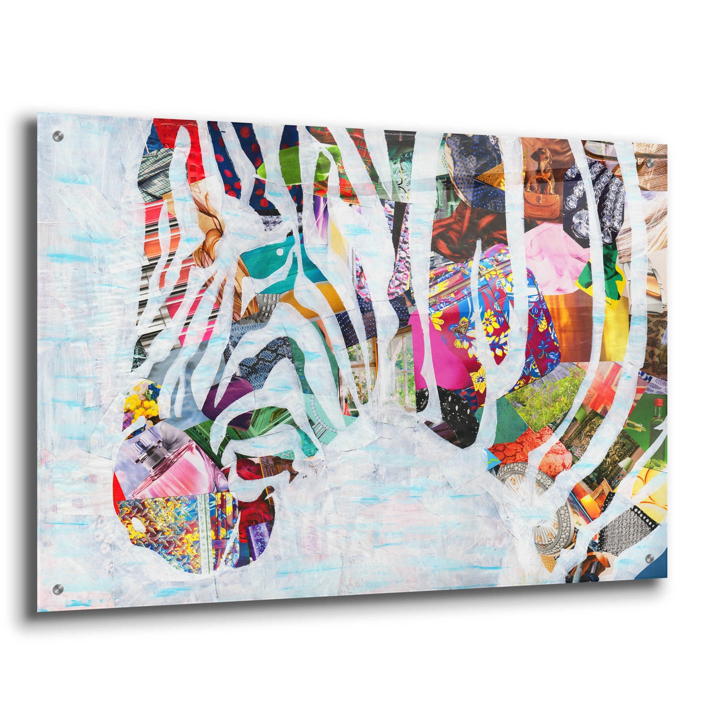 Epic Art 'Zebra' by Artpoptart, Acrylic Glass Wall Art,36x24