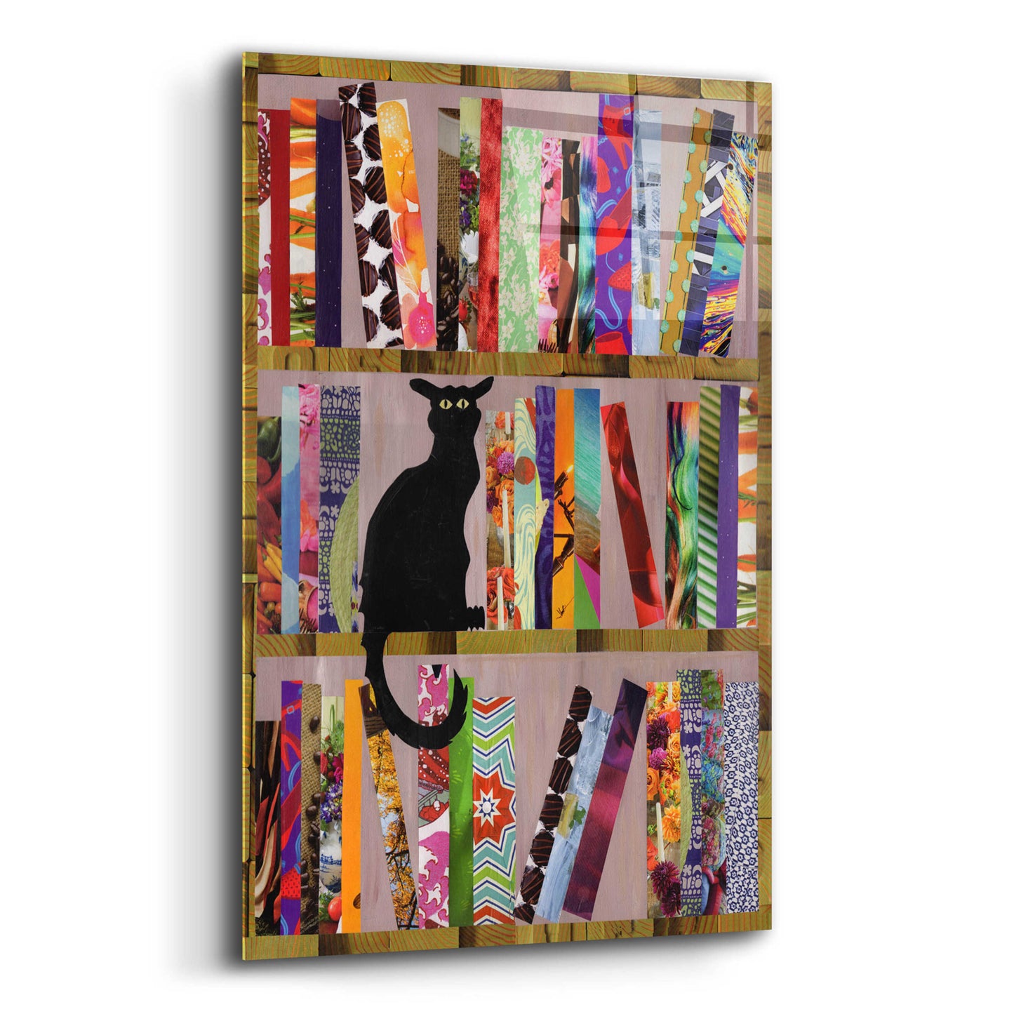 Epic Art 'Bookcat' by Artpoptart, Acrylic Glass Wall Art,12x16