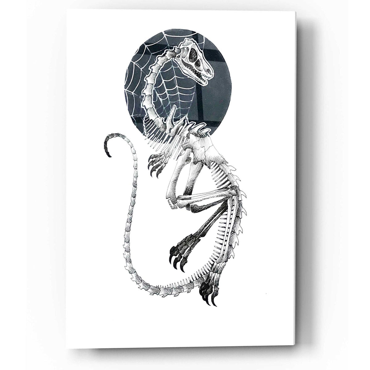 Skeletal Velociraptor by Avery Multer acrylic glass wall art