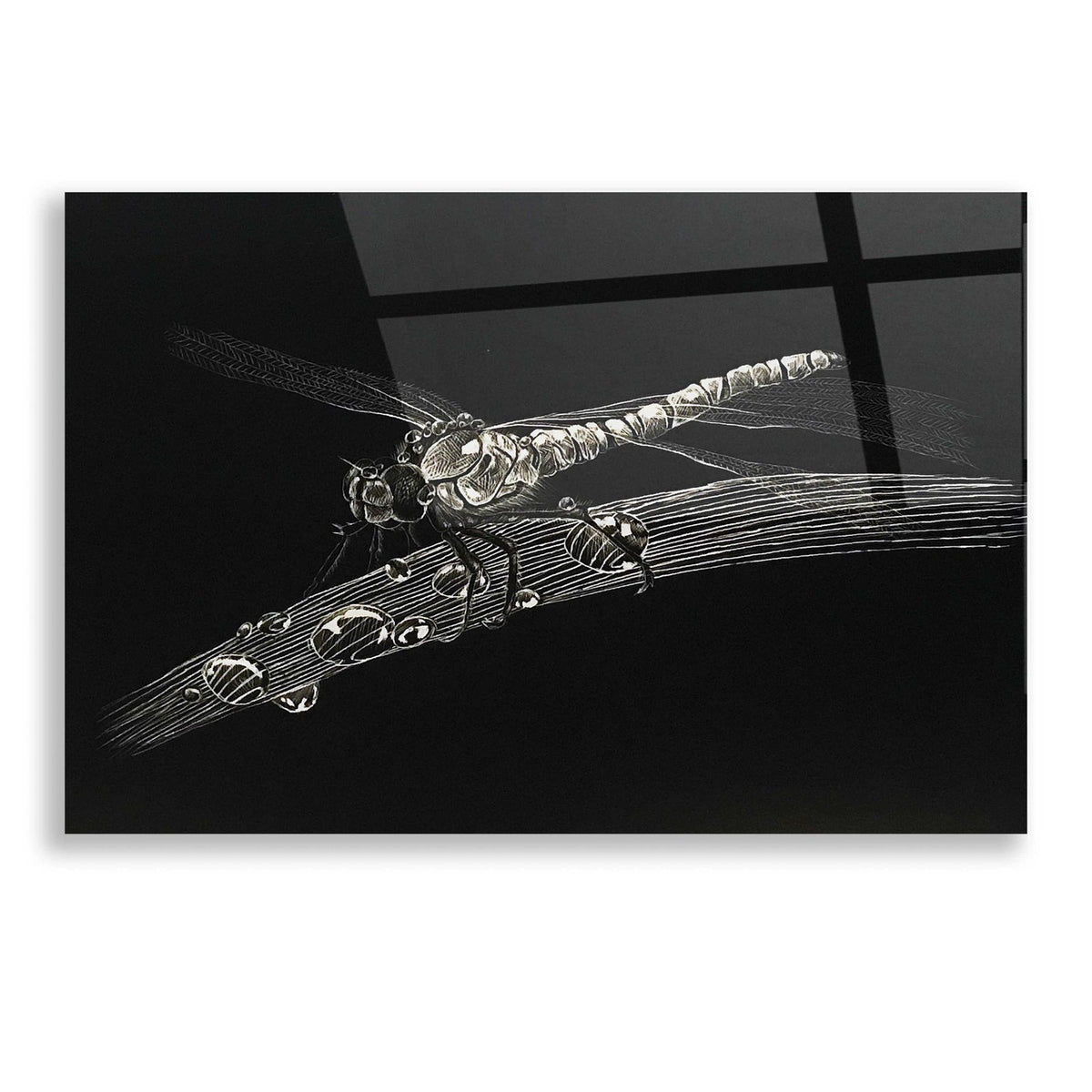 Dragonfly by Avery Multer acrylic glass wall art