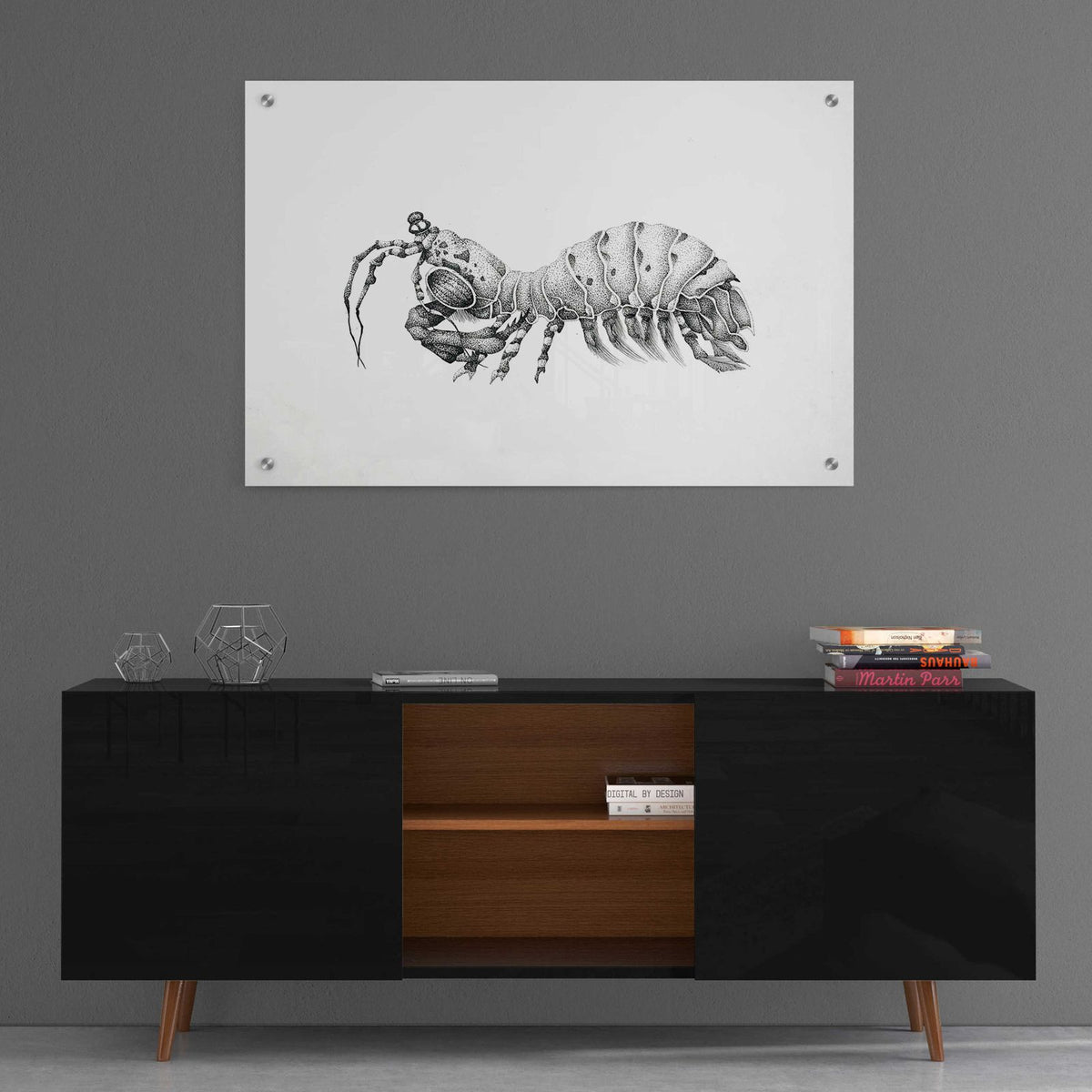 Peacock Mantis Shrimp by Avery Multer - 36x24 acrylic wall art in a room