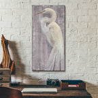 Coastal Egret II Legs II by Albena Hristova - 12x24 acrylic wall art in a room