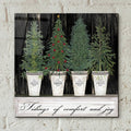 Tidings of Comfort & Joy by Cindy Jacobs - 12x12 acrylic wall art in a room