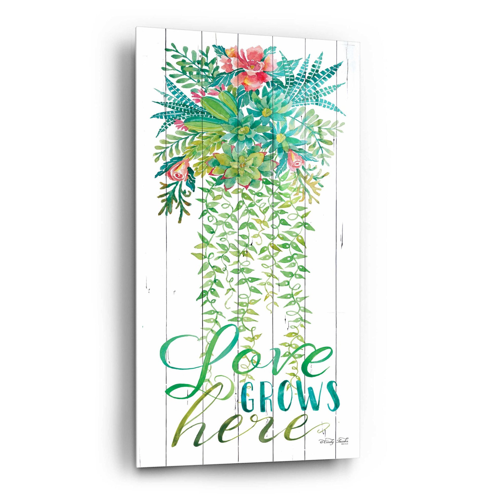 Epic Art 'Love Grows Hanging Plant' by Cindy Jacobs, Acrylic Glass Wall Art,12x24