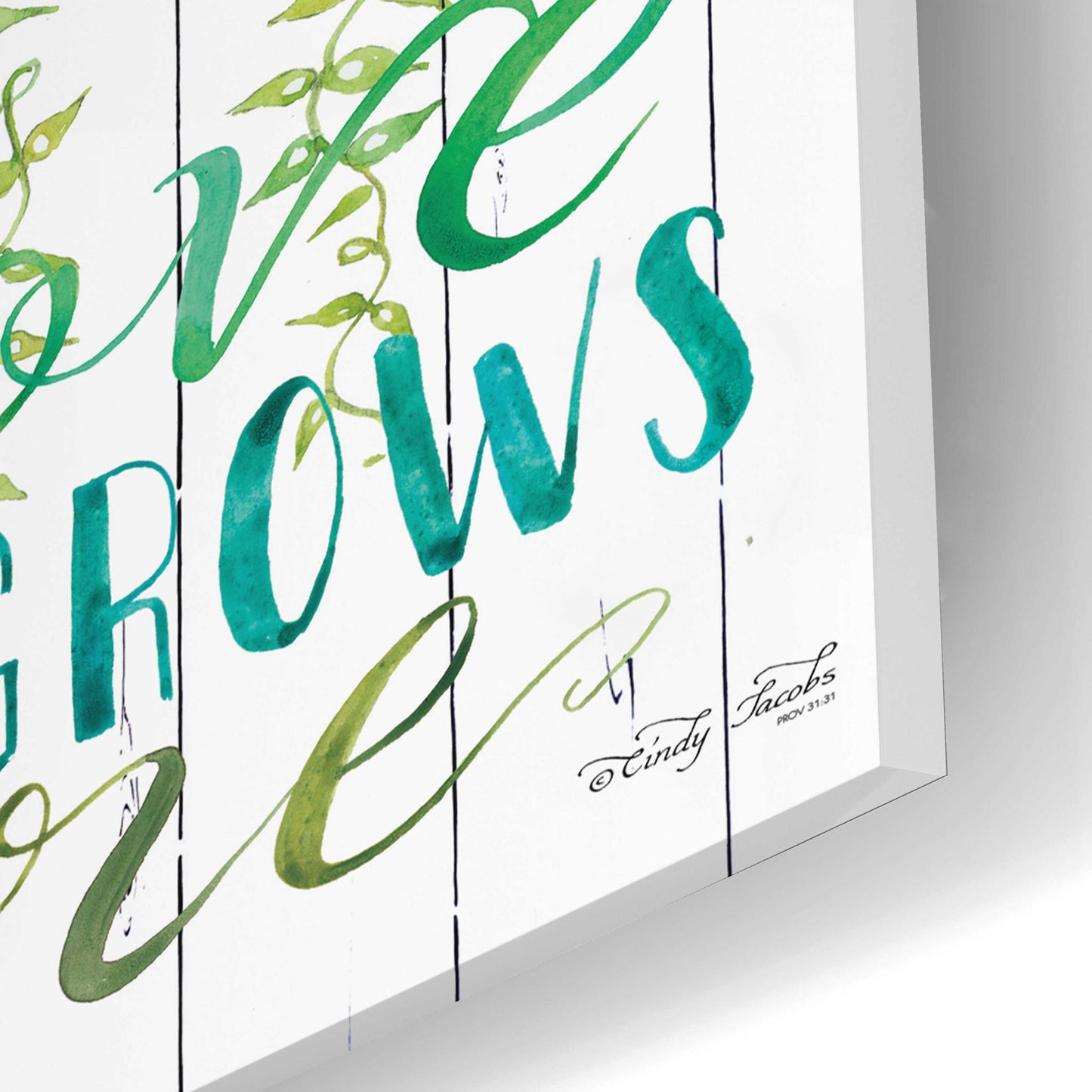 Epic Art 'Love Grows Hanging Plant' by Cindy Jacobs, Acrylic Glass Wall Art,12x24