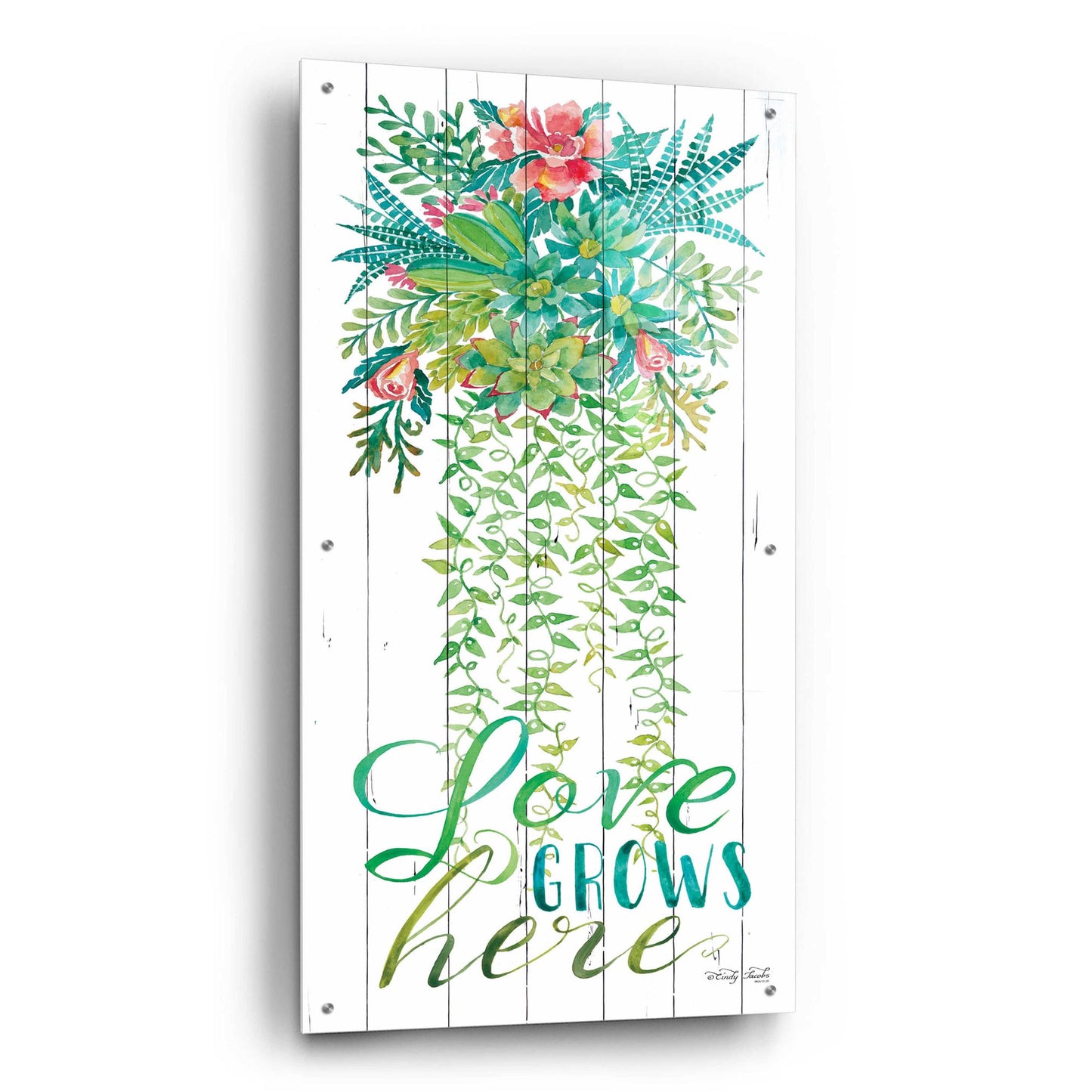 Epic Art 'Love Grows Hanging Plant' by Cindy Jacobs, Acrylic Glass Wall Art,24x48